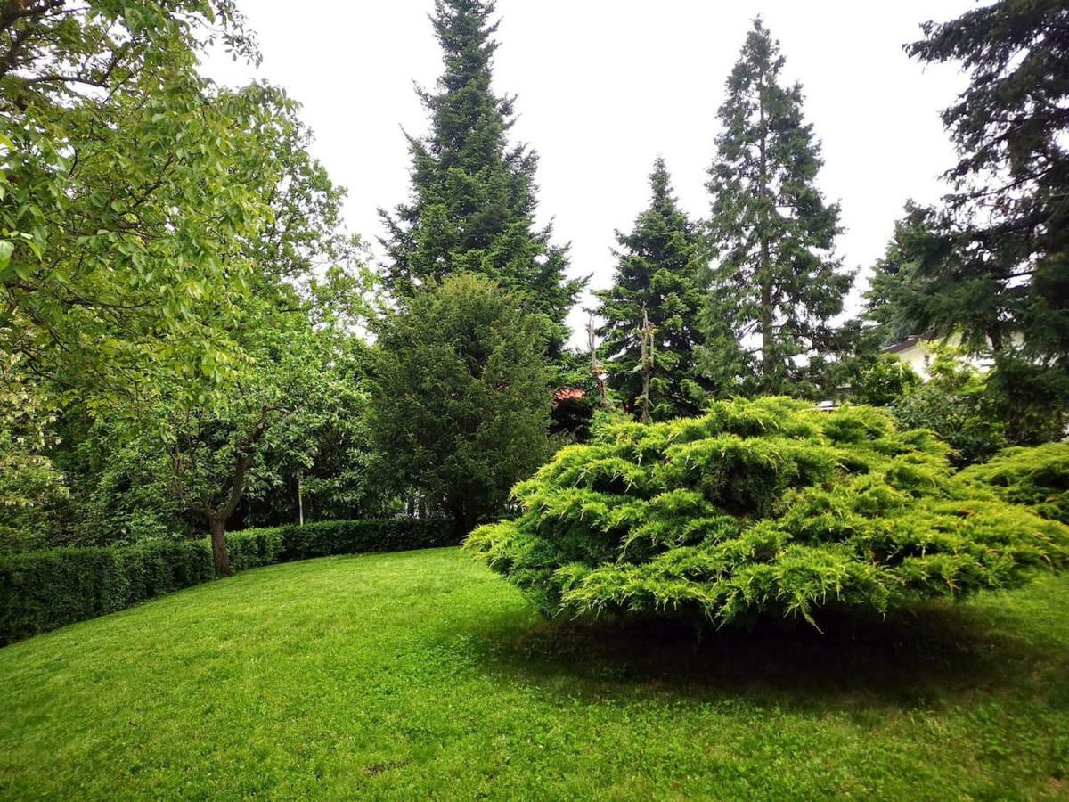 Apartmán Casa Carla, Immersa Nel Verde Dei Colli Bolognesi Sasso Marconi Exteriér fotografie